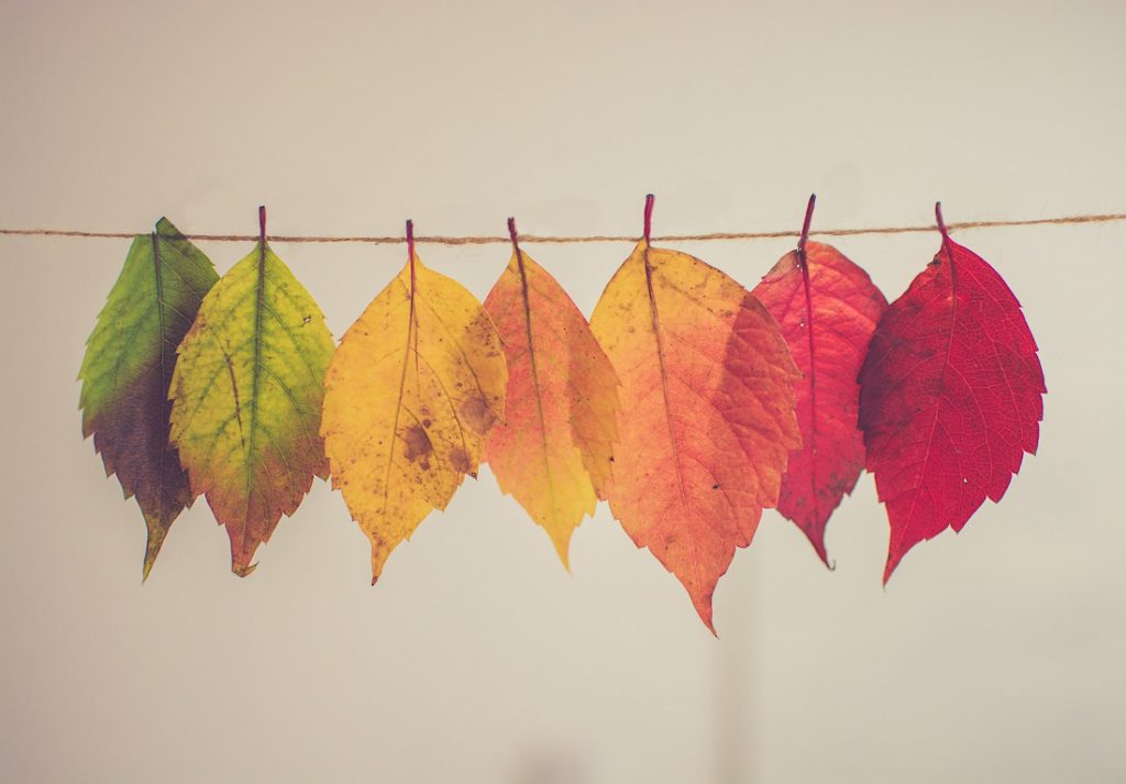 What Autumn Tells Us About Life and Work: There's a Time to Bring Something  Good to an End | Sheridan Voysey